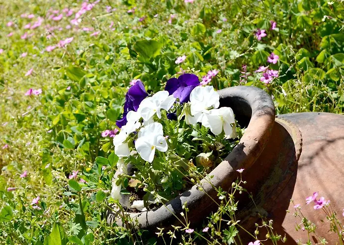 בית נופש Casa Valeriana *