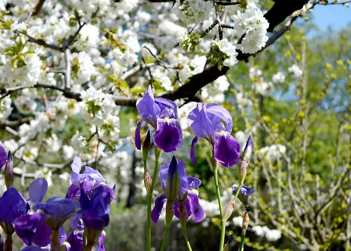 Casa Valeriana * נבאקונסחו